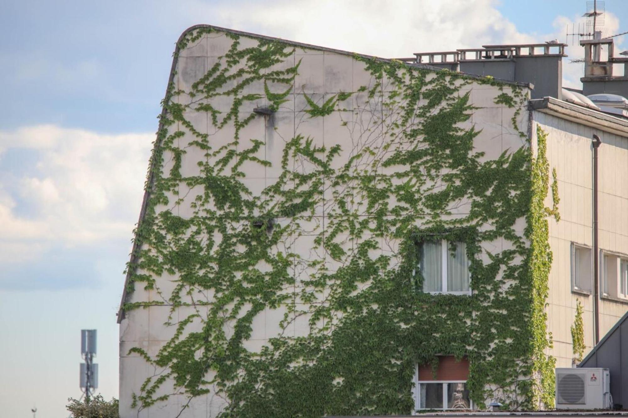 La Pause Annecienne Appartement Familial Annecy Exterior foto